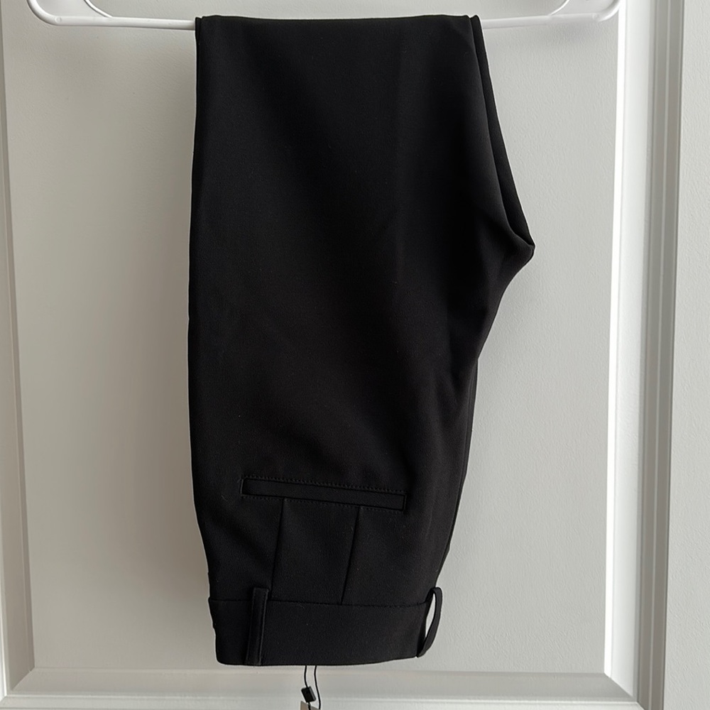 Express pants